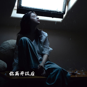 你离开以后