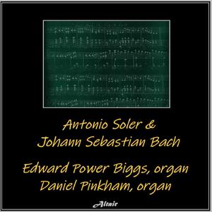 6 Concertos for 2 Organs NO. 1, R.463: I. Andante