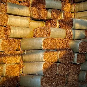 一个隐者的时光之书