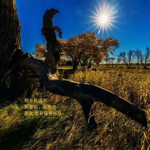 郭慧聪 吴思欣 - 故乡在远方