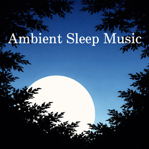 Quiet Mind with DEEP SLEEP MUSIC