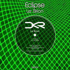 In the Wild (Original Mix)