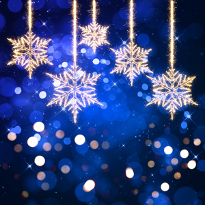 New Year’s Eve Reflections and Joy