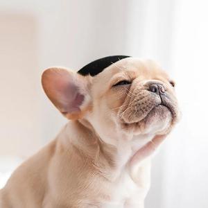 音乐课 节奏入门1