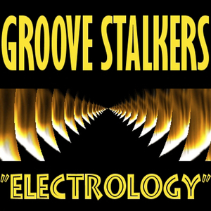 Electrology (Radio Mix)