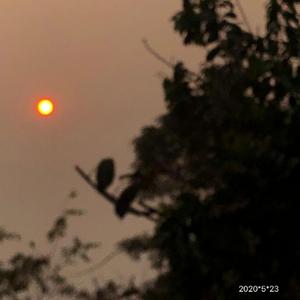 我想与世界和解了（Demo）