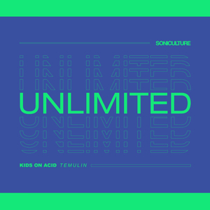 Temulin - Unity Particle (Original Mix)