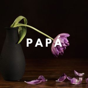 Papá