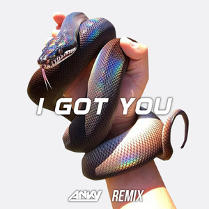 Bebe Rexha - I Got You (Anky Remix)