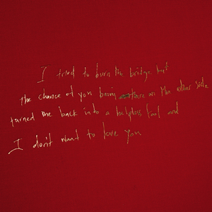 I Don't Wanna Love You