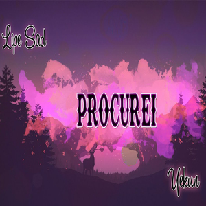 Procurei