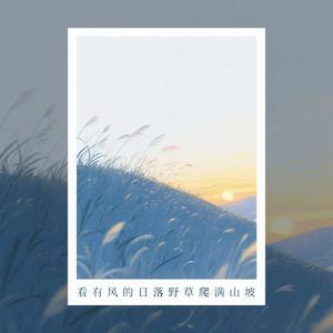 看有风的日落野草爬满山坡（DJ版）