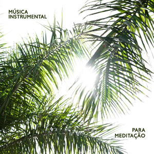 Meditação e Jardim Zen