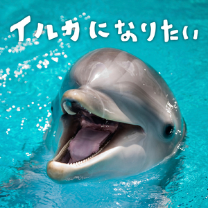 夕日の頃