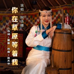 你在草原等着我（DJ版）