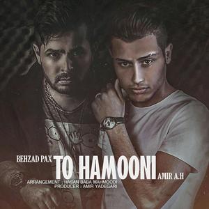 To Hamooni (feat. Amir A.H)