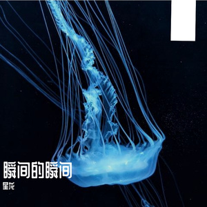 瞬间的瞬间(Live)