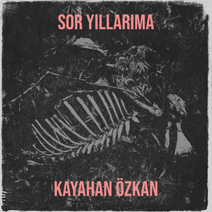 Sor Yıllarıma