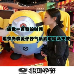 独家记忆 (DJ版)