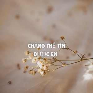 Chẳng Thể Tìm Được Em