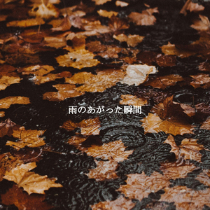 Sensational Four Seasons