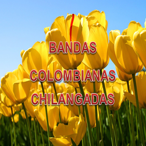 Cumbia Sonidero