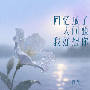 回忆成了大问题我好想你