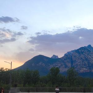 我不是你的宋东野