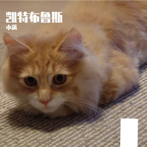 便利店(没有)小面