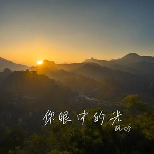 你眼中的光