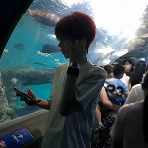 ElEPHANT (高速进行曲)(Phonk)