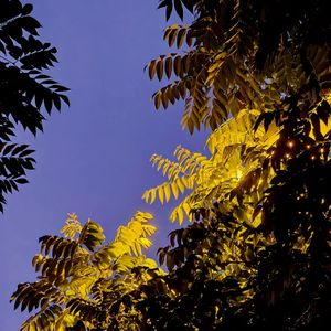 我喜欢上你时的内心活动