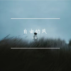 自由的风