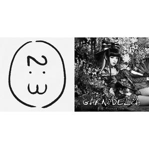 极乐净土（翻自 GARNiDELiA）