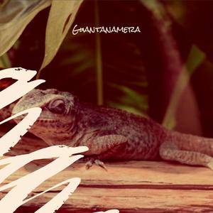 Somewhere Over The Rainbow