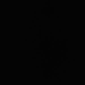 Heterozygote