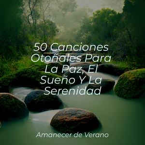 Oasis Melódico Encontrando Tranquilidad