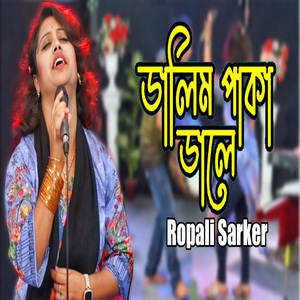 ডালিম পাকা ডালে