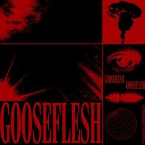 GOOSEFLESH