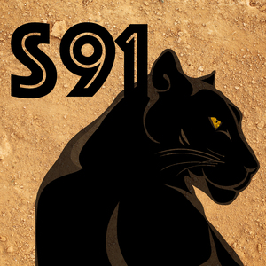 S91