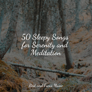 Meditations