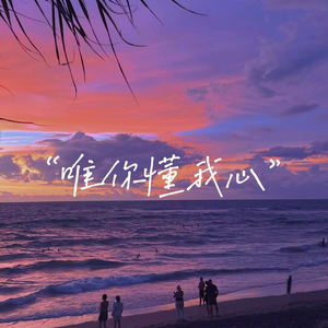 唯你懂我心cover by汪苏泷.wav