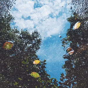 薄终（必入歧途cover）