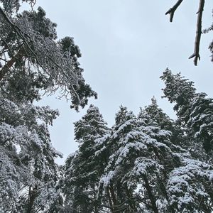 至此流年各天涯