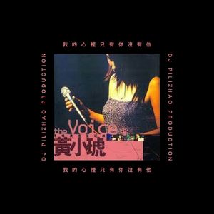 黃小琥 - 我的心裡只有你沒有他 [DJ Pilizhao Re-Edit[