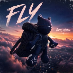 Fly