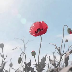 爱的花园（Prod by inf）