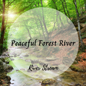 Water Flow Over Niagara Falls