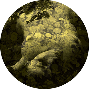 Yellobone (LOL Boys Remix)