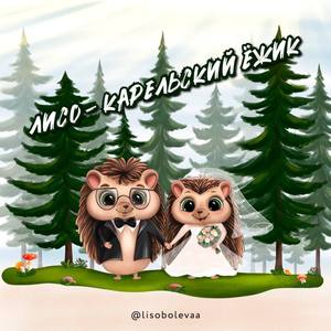 Карельский ёжик